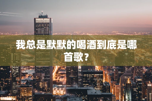 我总是默默的喝酒到底是哪首歌？