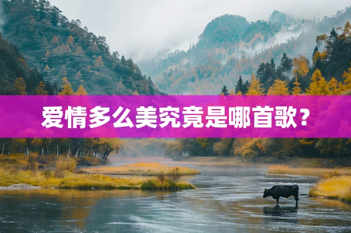 爱情多么美究竟是哪首歌？
