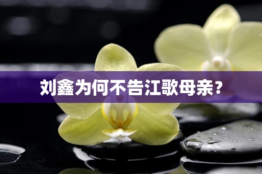 刘鑫为何不告江歌母亲？