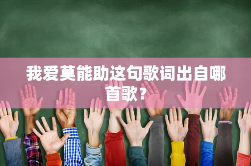 我爱莫能助这句歌词出自哪首歌？
