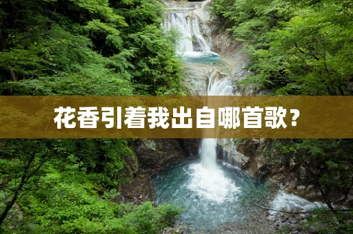 花香引着我出自哪首歌？