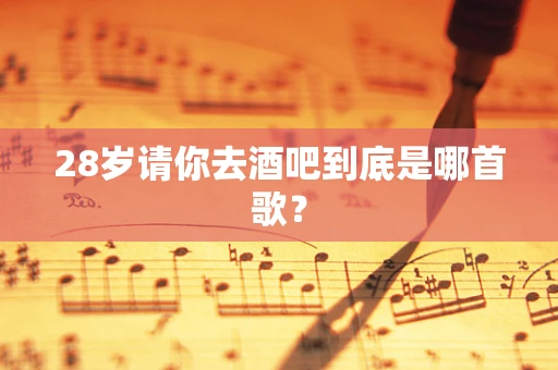 28岁请你去酒吧到底是哪首歌？