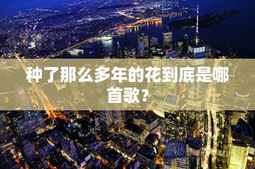 种了那么多年的花到底是哪首歌？