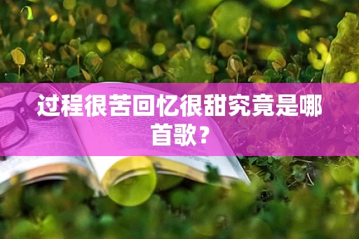 过程很苦回忆很甜究竟是哪首歌？