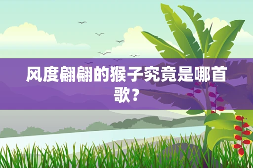 风度翩翩的猴子究竟是哪首歌？