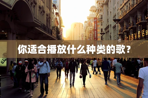 你适合播放什么种类的歌？