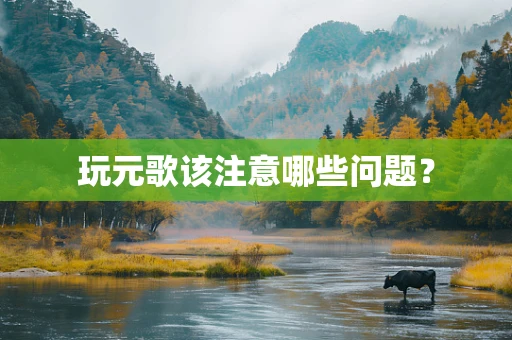 玩元歌该注意哪些问题？