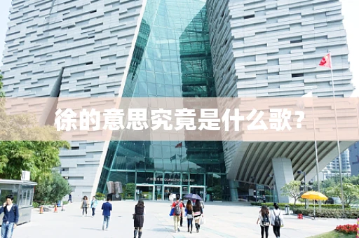 徐的意思究竟是什么歌？