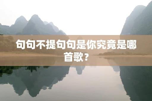 句句不提句句是你究竟是哪首歌？