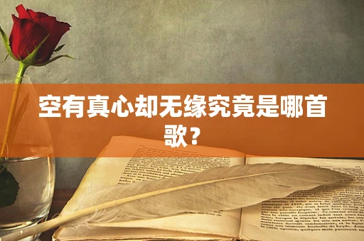 空有真心却无缘究竟是哪首歌？