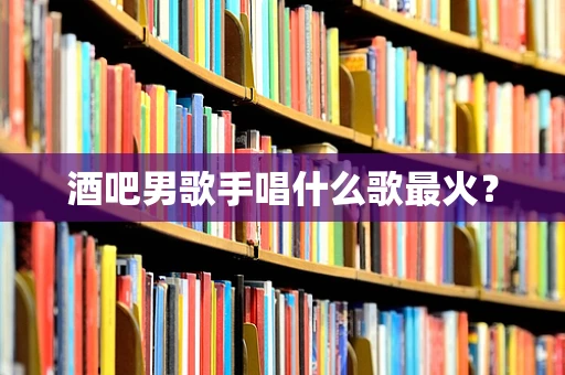 酒吧男歌手唱什么歌最火？
