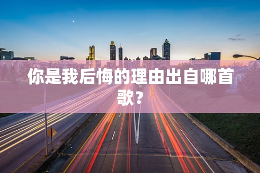 你是我后悔的理由出自哪首歌？
