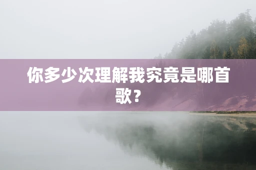 你多少次理解我究竟是哪首歌？