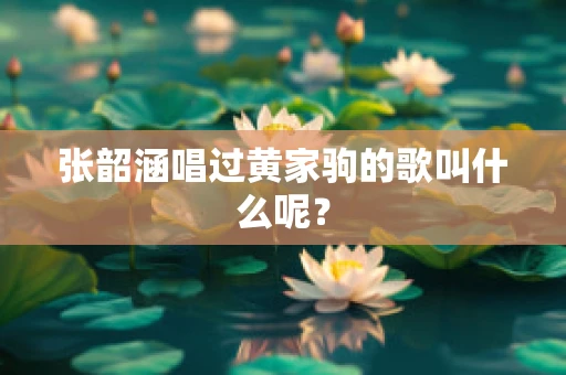 张韶涵唱过黄家驹的歌叫什么呢？