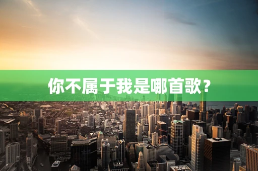 你不属于我是哪首歌？