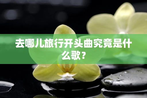 去哪儿旅行开头曲究竟是什么歌？