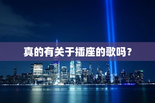 真的有关于插座的歌吗？
