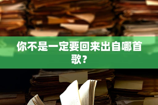 你不是一定要回来出自哪首歌？