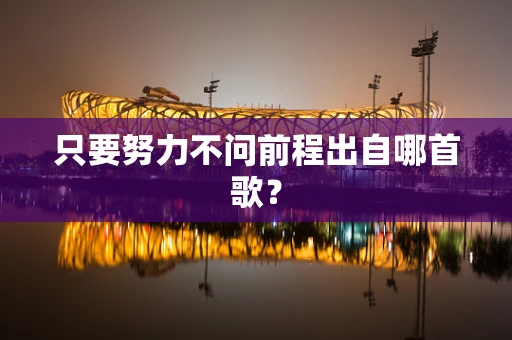 只要努力不问前程出自哪首歌？