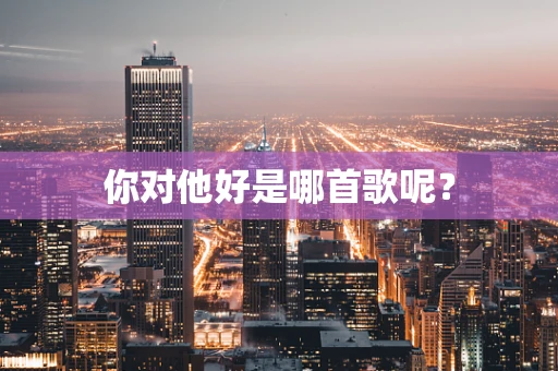 你对他好是哪首歌呢？