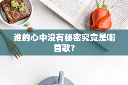 谁的心中没有秘密究竟是哪首歌？