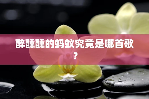醉醺醺的蚂蚁究竟是哪首歌？