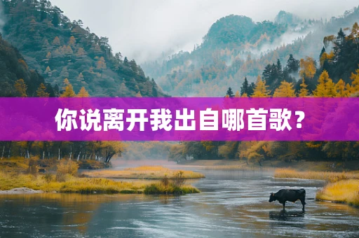 你说离开我出自哪首歌？