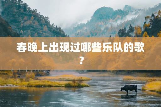 春晚上出现过哪些乐队的歌？