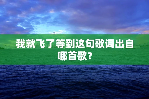 我就飞了等到这句歌词出自哪首歌？