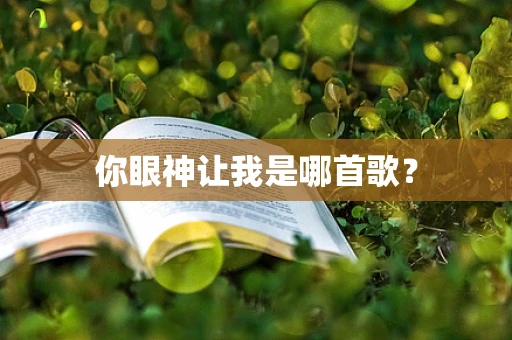 你眼神让我是哪首歌？