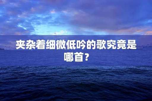 夹杂着细微低吟的歌究竟是哪首？