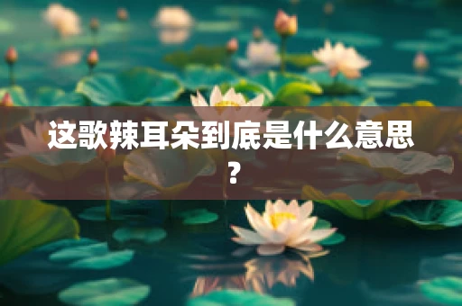 这歌辣耳朵到底是什么意思？