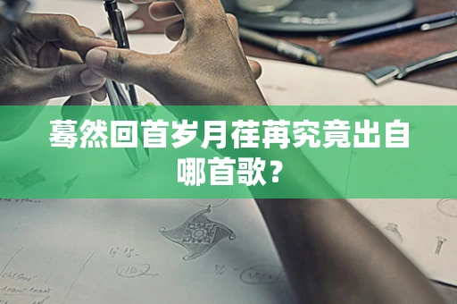 蓦然回首岁月荏苒究竟出自哪首歌？