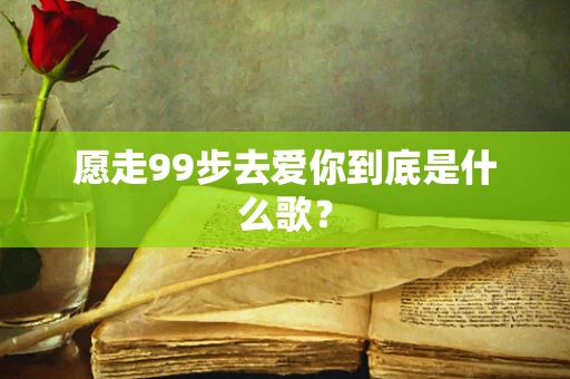愿走99步去爱你到底是什么歌？