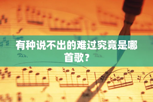 有种说不出的难过究竟是哪首歌？
