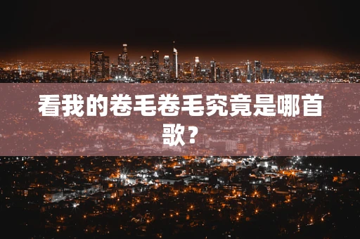 看我的卷毛卷毛究竟是哪首歌？