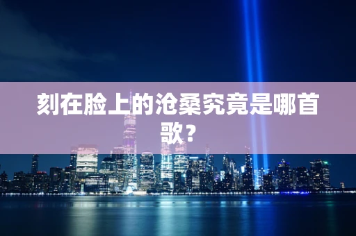 刻在脸上的沧桑究竟是哪首歌？