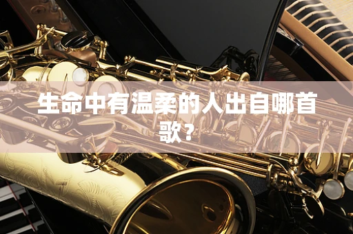 生命中有温柔的人出自哪首歌？