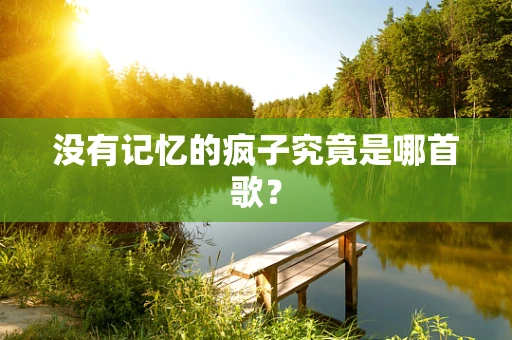 没有记忆的疯子究竟是哪首歌？