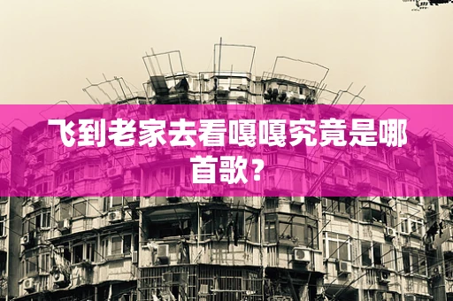 飞到老家去看嘎嘎究竟是哪首歌？