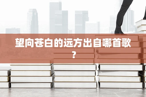 望向苍白的远方出自哪首歌？