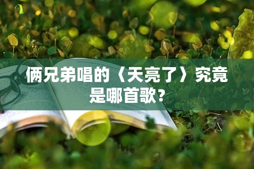 俩兄弟唱的〈天亮了〉究竟是哪首歌？