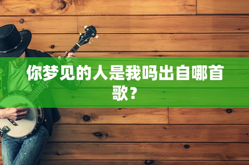 你梦见的人是我吗出自哪首歌？