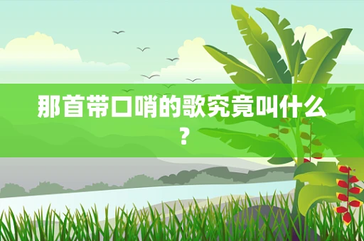 那首带口哨的歌究竟叫什么？