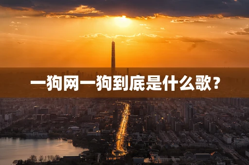 一狗网一狗到底是什么歌？