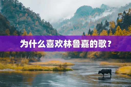 为什么喜欢林鲁嘉的歌？
