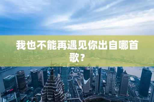 我也不能再遇见你出自哪首歌？