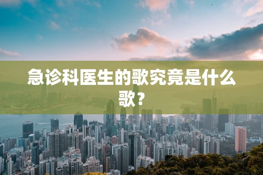 急诊科医生的歌究竟是什么歌？