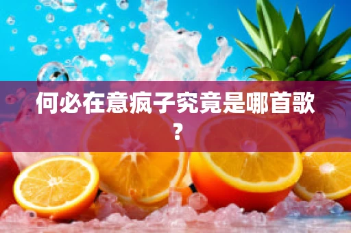 何必在意疯子究竟是哪首歌？