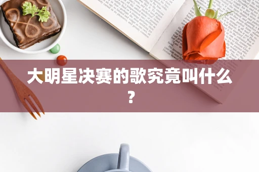 大明星决赛的歌究竟叫什么？